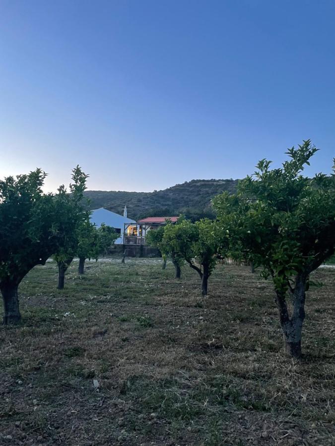 Quinta Da Boa Sorte Estoi Exteriör bild